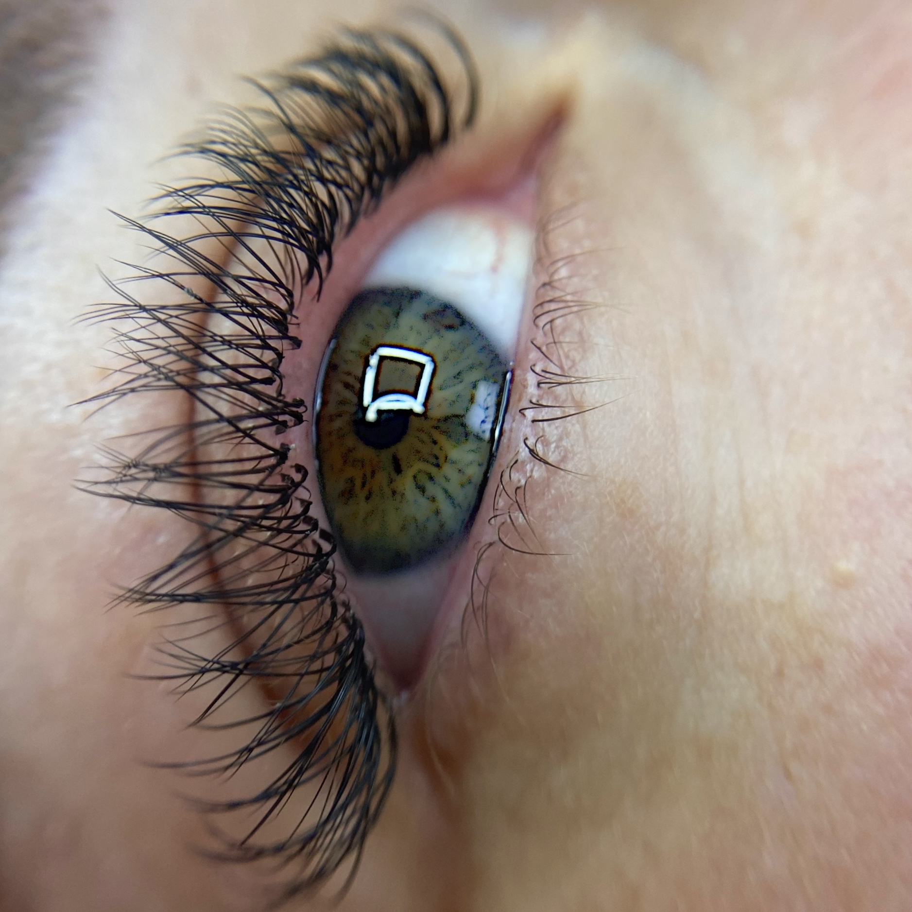 Alogamento de Cílios